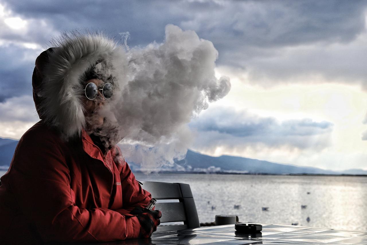 Quelle cigarette électronique choisir